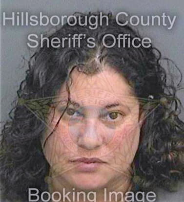 Dejesus Ingrid - Hillsborough County, FL 