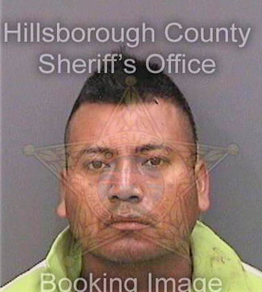 Neponuceno Raul - Hillsborough County, FL 