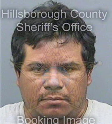 Martinezgomez Rogelio - Hillsborough County, FL 