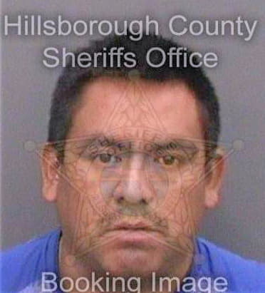 Ramirez-Perez Roelso - Hillsborough County, FL 