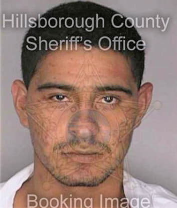 Francisco Morando - Hillsborough County, FL 