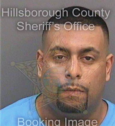 Malave Matthew - Hillsborough County, FL 