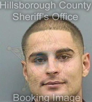 Medina Yenier - Hillsborough County, FL 