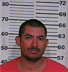 Elizondo Daniel - Hidalgo County, TX 