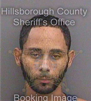 Thomas Christopher - Hillsborough County, FL 