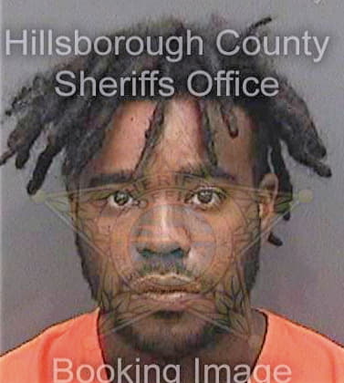 Sinisterra Louis - Hillsborough County, FL 
