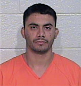 Mejia Joel - Hidalgo County, TX 