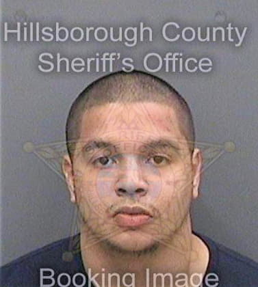 Gonzalez Noel - Hillsborough County, FL 