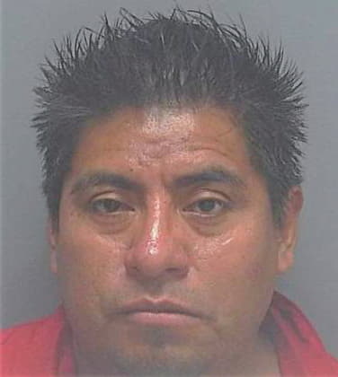 Hernandez Gabino - Lee County, FL 