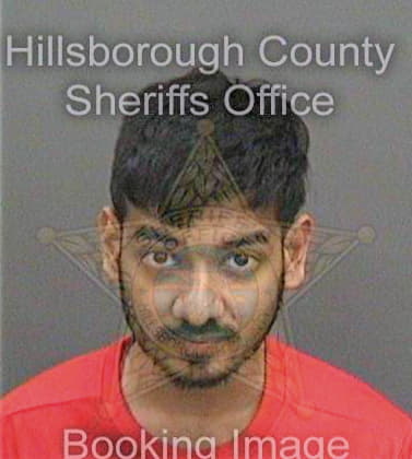 Gupta Aneesh - Hillsborough County, FL 