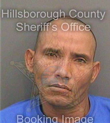 Legonjimenez Hector - Hillsborough County, FL 