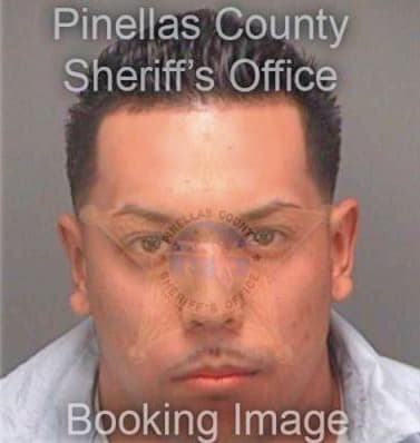 Deleon James - Pinellas County, FL 