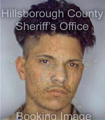 Phillippus Wayne - Hillsborough County, FL 