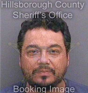 Velasquez Simon - Hillsborough County, FL 