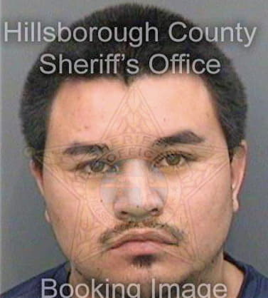 Vasquez Andres - Hillsborough County, FL 