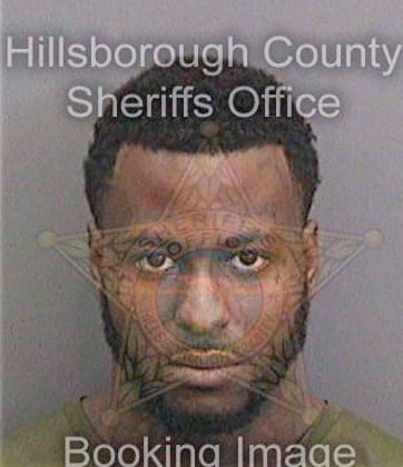 Lewis Gerald - Hillsborough County, FL 