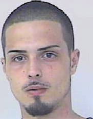 Sarmento Justin - StLucie County, FL 