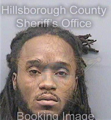 Levison Reginald - Hillsborough County, FL 