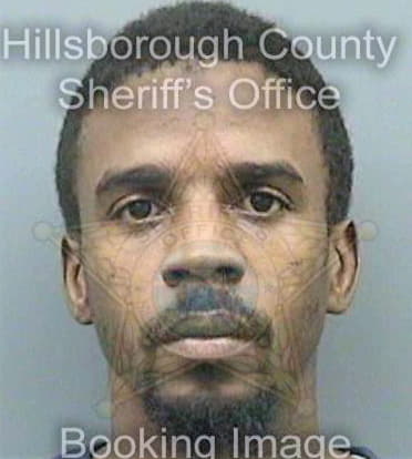Haywood Virgil - Hillsborough County, FL 