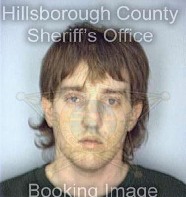 Chilcott David - Hillsborough County, FL 