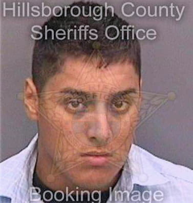 Ortizgonzalez Juan - Hillsborough County, FL 