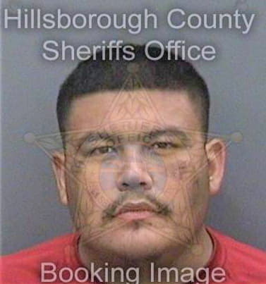 Sierra Domingo - Hillsborough County, FL 