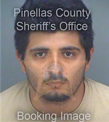 Ledezma Oscar - Pinellas County, FL 