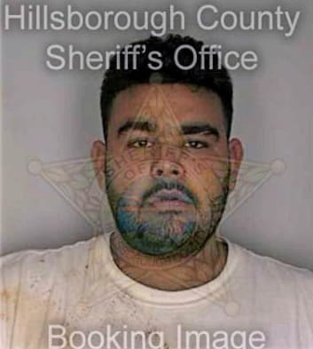 Leon Henry - Hillsborough County, FL 