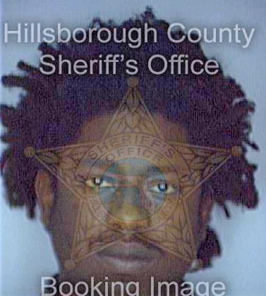 Sherman Brian - Hillsborough County, FL 