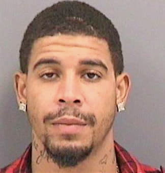 Simon Deandre - Hillsborough County, FL 