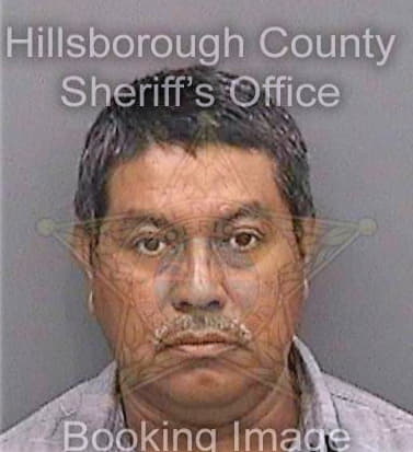 Perezgomez Francisco - Hillsborough County, FL 