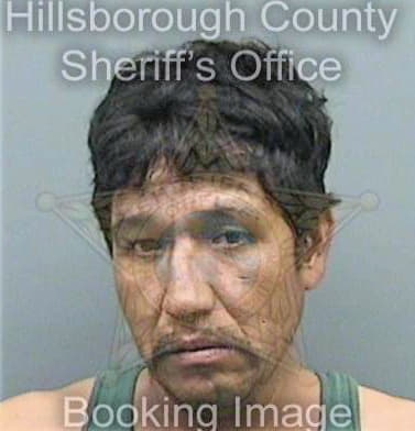 Mejia Simon - Hillsborough County, FL 