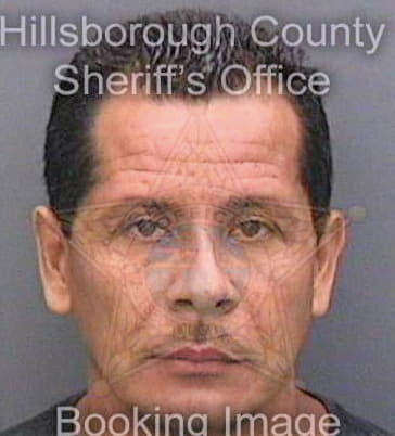 Tovarhenriquez Victor - Hillsborough County, FL 