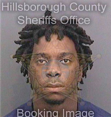 George Dameon - Hillsborough County, FL 