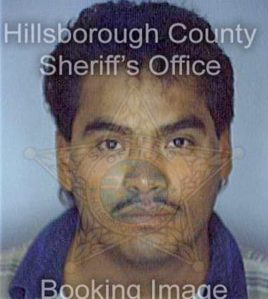 Pinaabrego Felipe - Hillsborough County, FL 