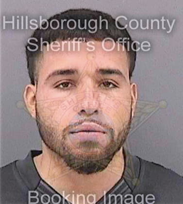 Martinez Marcanthony - Hillsborough County, FL 