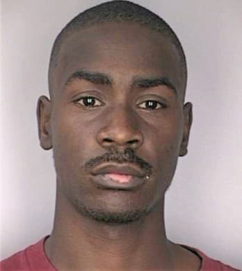 Boone David - Hillsborough County, FL 