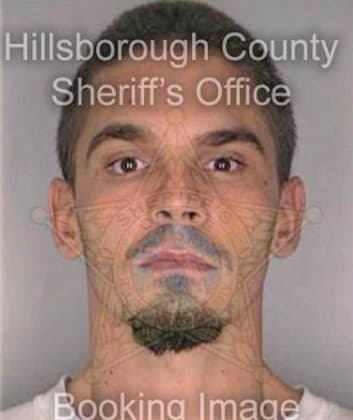 Higginbotham Christopher - Hillsborough County, FL 