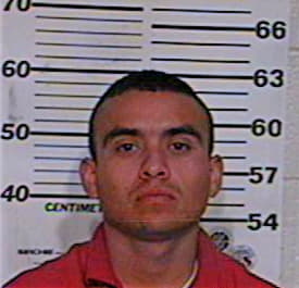 Medrano Horacio - Hidalgo County, TX 