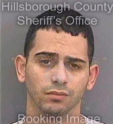 Nunez Olian - Hillsborough County, FL 