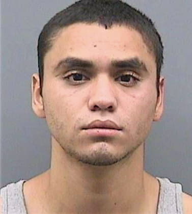 Penaruggio Daniel - Hillsborough County, FL 