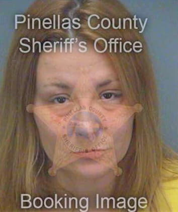 Anderson Sunshine - Pinellas County, FL 