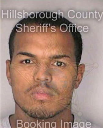 Enchauteguis John - Hillsborough County, FL 