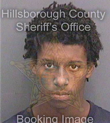 Howard Vincent - Hillsborough County, FL 