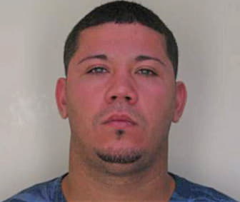 Diazrivera Fernando - Hillsborough County, FL 