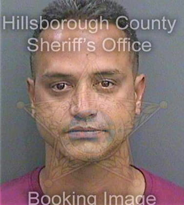 Mcginnis John - Hillsborough County, FL 