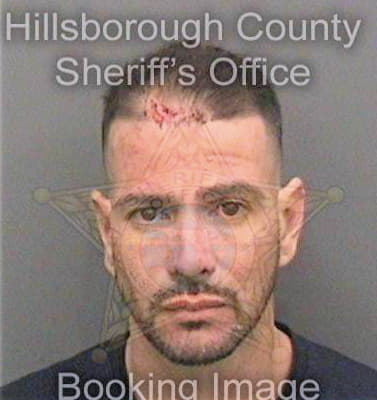 Bruzonmendez David - Hillsborough County, FL 