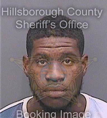 Richardson Kelvin - Hillsborough County, FL 