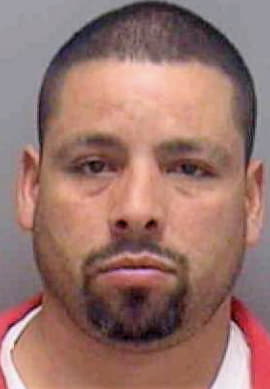 Melendez Ernesto - Lee County, FL 