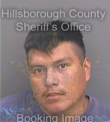 Panzogarcia Maximino - Hillsborough County, FL 